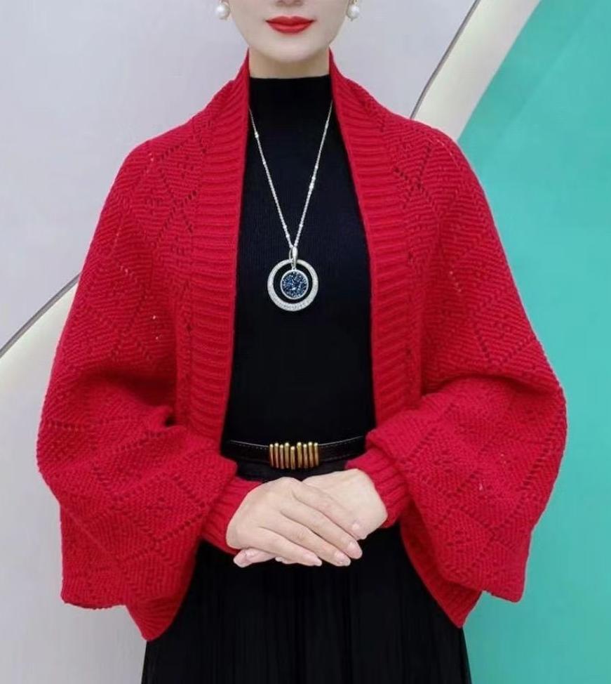 Eryla – Ajourstrick Schalkragen-Strickjacke